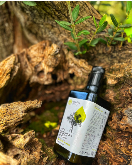 copy of Olio EVO IGP sicilia fruttato medio