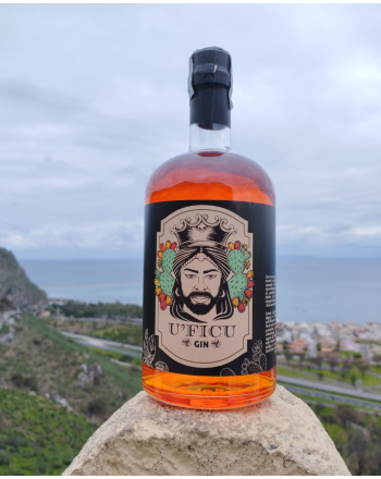 Gin Siciliano aromatizzato al fico d'India 2