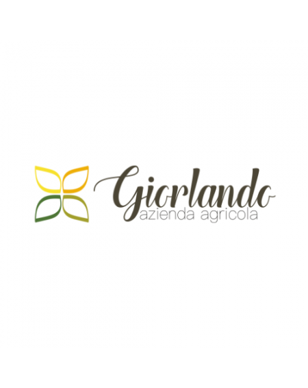 Giorlando